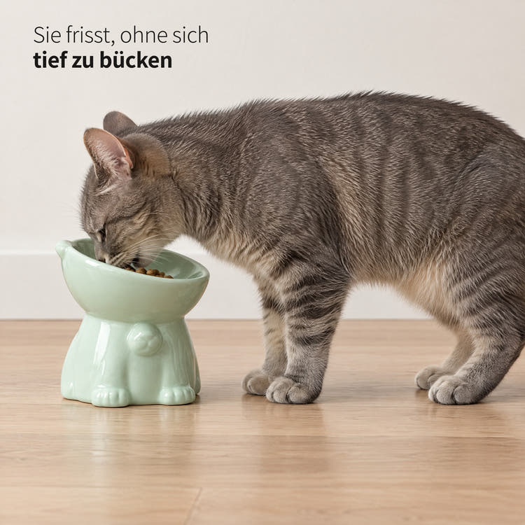 Getigerte Katze frisst aus dem erhöhten Instinkt Napf in Mint: Sie frisst, ohne sich tief zu bücken