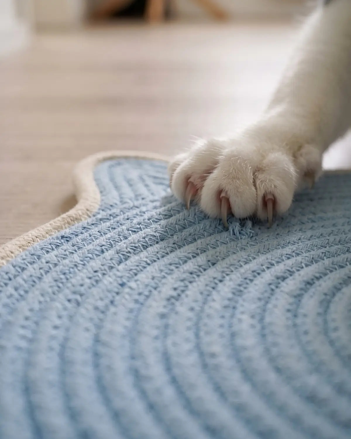 Weiße Katzenpfote mit ausgefahrenen Krallen auf der himmelblauen Instinkt Matte