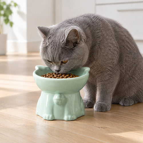 Graue Katze frisst aus dem Instinkt Napf in Mint, im hellen Wohnzimmer auf Parkett