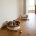 Zwei Katzenkoerbe im Flur, jede Katze hat ihren eigenen Platz (KI-generierte Abbildung)